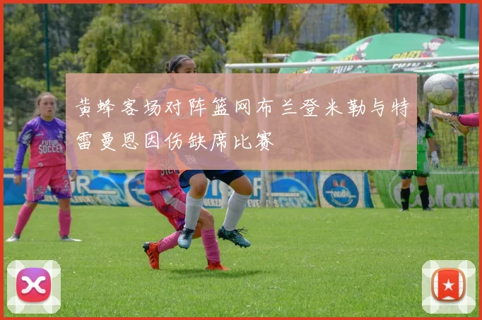黄蜂客场对阵篮网布兰登米勒与特雷曼恩因伤缺席比赛
